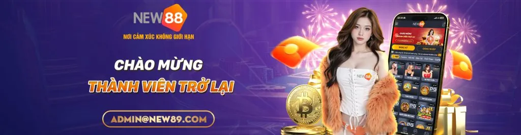 Hình ảnh chính về chiến lược tối ưu hóa khuyến mãi mã 88nn123